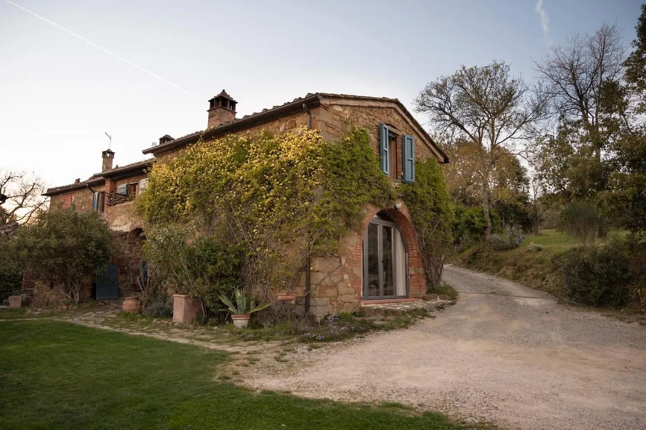 Alloro Rigomagno