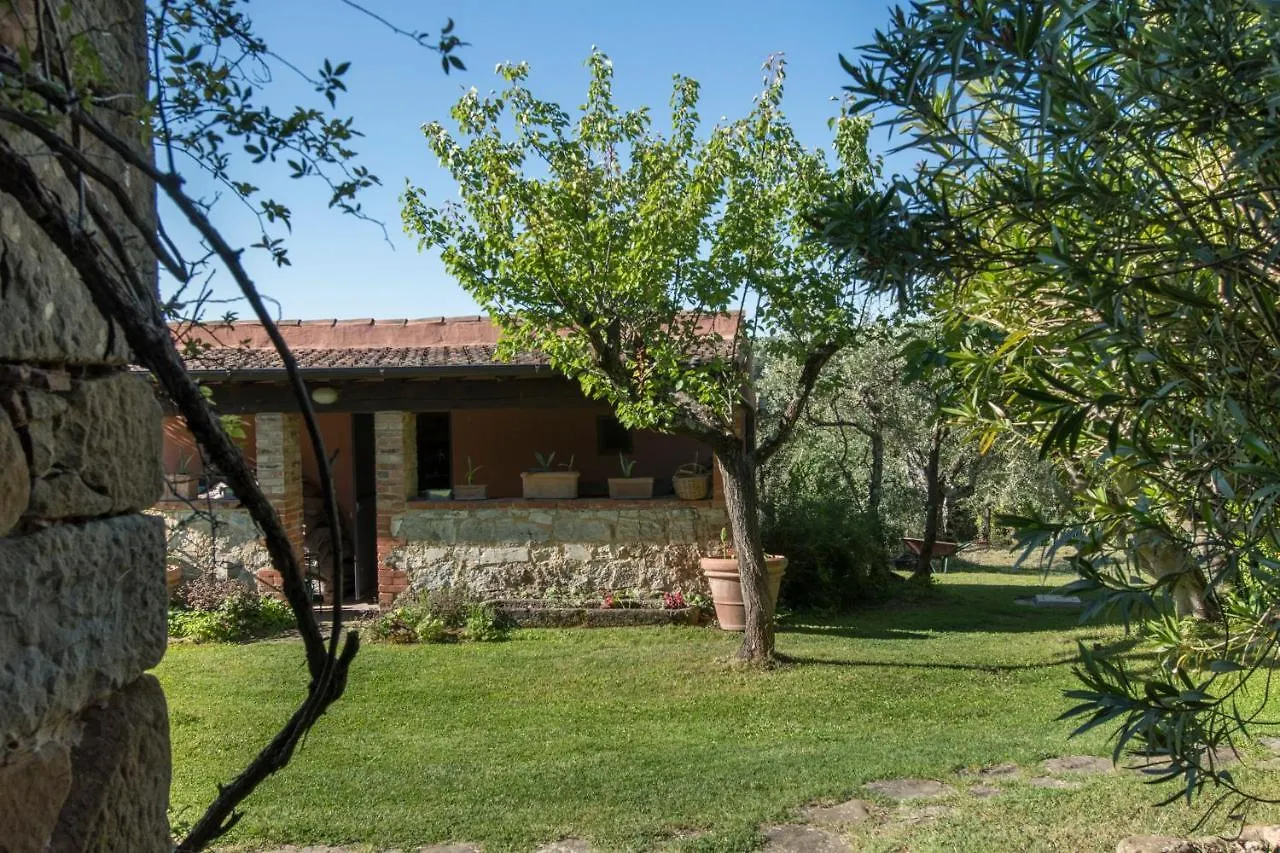 Alloro Rigomagno 0*,  Italy